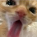 Аватар supckick