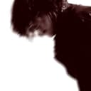 Аватар t3RR1bl3k1ng