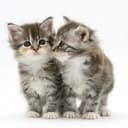 Аватар H9WKA2k16